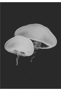 2019 Appointment Calendar: 2019 Daily Planner Goal Planner White Jellyfish