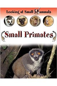 LOOKING AT SMALL MAMMALS PRIMATES
