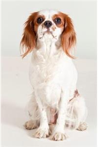 Dog Journal/Notebook