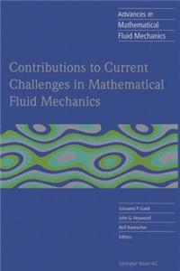 Contributions to Current Challenges in Mathematical Fluid Mechanics