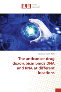 anticancer drug doxorubicin binds DNA and RNA at different locations