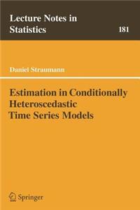 Estimation in Conditionally Heteroscedastic Time Series Models