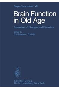 Brain Function in Old Age