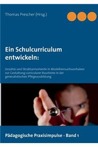 Schulcurriculum entwickeln