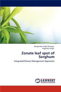 Zonate leaf spot of Sorghum