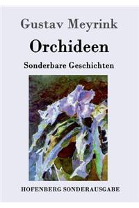 Orchideen