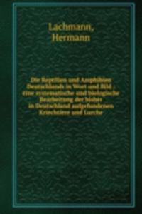 Die Reptilien und Amphibien Deutschlands in Wort und Bild