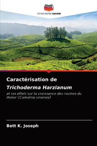 Caractérisation de Trichoderma Harzianum