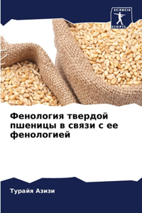 Фенология твердой пшеницы в связи с ее фен
