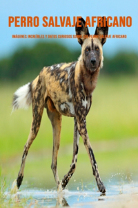 Perro Salvaje Africano
