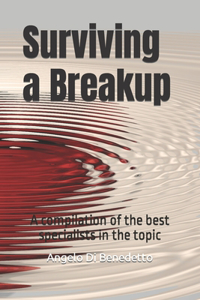 Surviving a Breakup