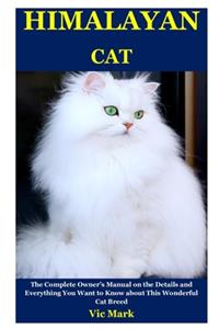 Himalayan Cat