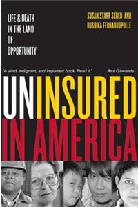 Uninsured in America, Updated