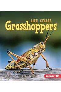Grasshoppers
