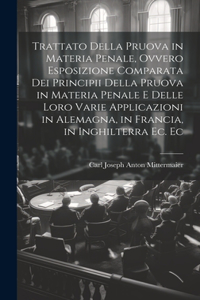 Trattato Della Pruova in Materia Penale, Ovvero Esposizione Comparata Dei Principii Della Pruova in Materia Penale E Delle Loro Varie Applicazioni in Alemagna, in Francia, in Inghilterra Ec. Ec