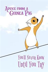 Advice From a Guinea Pig - You'll Never Know Until You Try
