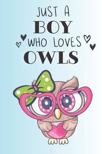 Just A Boy Who Loves Owls