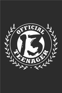 Official 13 Teenager