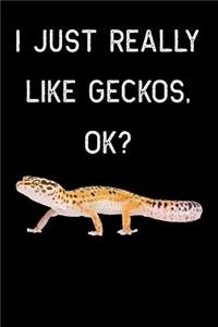 I Just Really Like Geckos, Ok?: Funny, College Ruled Lined Paper, 120 Pages, 6 X 9