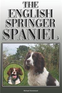 English Springer Spaniel
