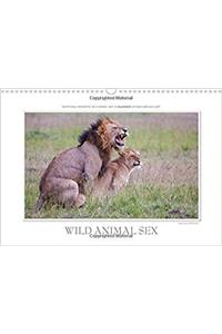Emotional Moments: Wild Animal Sex. UK-Version 2018