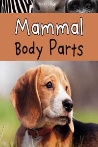 Animal Body Parts, Pack A of 6