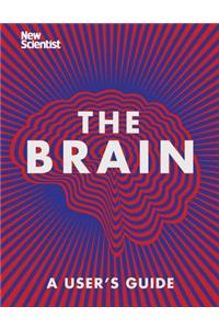Brain