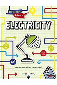 Electricity