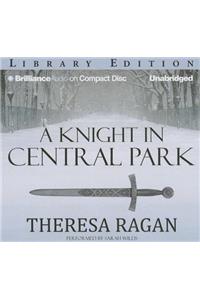 A Knight in Central Park