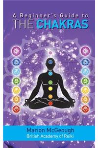 Beginner's Guide to the Chakras