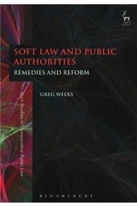 Soft Law and Public Authorities: Remedies and Reform