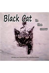 Black Cat in The Snow