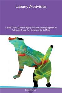 Labany Activities Labany Tricks, Games & Agility Includes
