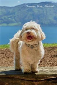 Havanese June Notebook Havanese Record, Log, Diary, Special Memories, To Do List, Academic Notepad, Scrapbook & More