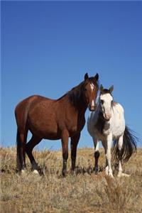 Equine Journal Horse Buddies