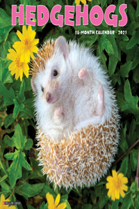 Hedgehogs 2021 Wall Calendar