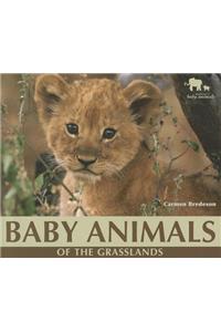 Baby Animals of the Grasslands