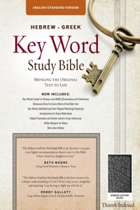 Hebrew-Greek Key Word Study Bible