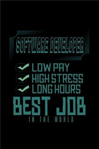 Software developer