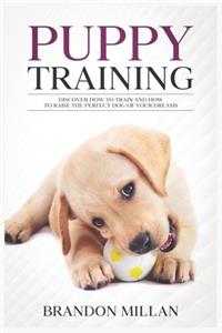 Puppy Training