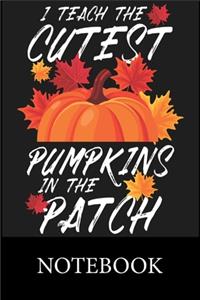 I Teach The Cutest Pumpkins In The Patch Notebook