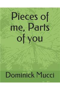 Pieces of me, Parts of you