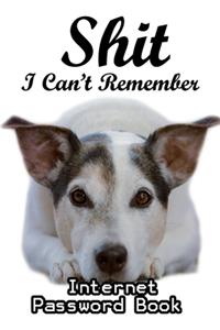 Shit I Can't Remember