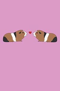 Meerschweinchen-Liebe