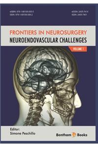 NeuroEndovascular Challenges