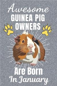 Awesome Guinea Pig Owners Are Born In January
