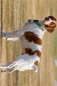 Brittany Dog Journal