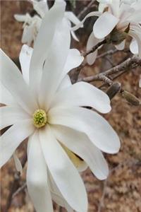 2019 Weekly Planner Beautiful White Flower 134 Pages