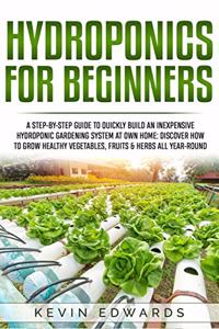 Hydroponics for Beginners