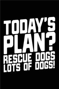 Today's Plan? Rescue Dogs Lots Of Dogs!